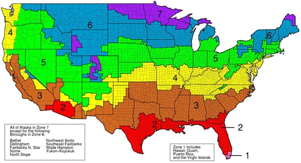 The U.S. Department of Energy climate zone map of the United States, with numbered zones shaded by colour; central North Carolina, including Cary, falls in Zone 4